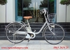 Xe đạp điện trợ lực Nhật Panasonic màu bạc - anh 1