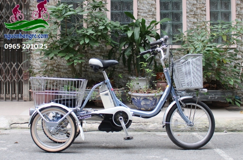 Xe đạp điện Nhật 3 bánh Brigestone