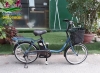 Xe đạp điện Nhật panasonic bánh nhỏ màu xanh lam - anh 1