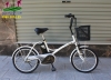 Xe đạp điện Nhật Panasonic màu trắng bánh nhỏ - anh 1
