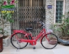 Xe đạp điện Nhật Yamaha Polku màu đỏ - anh 1