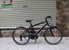 Xe đạp thể thao điện Nhật Panasonic Hurryer - anh 1
