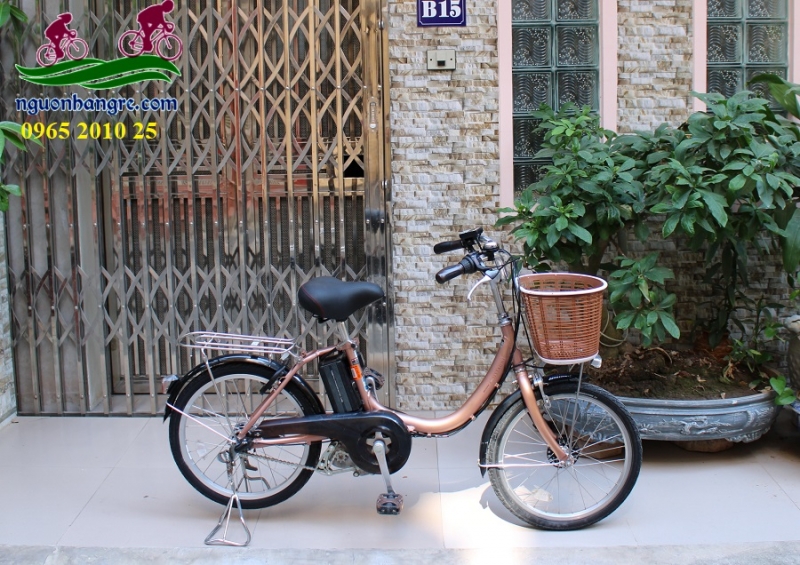 Xe đạp điện Nhật trợ lực Brigestone bánh nhỏ