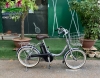 Xe đạp điện Nhật trợ lực Brigestone Assista bánh nhỏ 20 inch màu ghi - anh 1