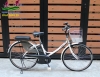Xe đạp điện Nhật Panasonic màu trắng - anh 1