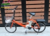 Xe đạp trợ lực Nhật Bản Panasonic gấp gọn màu cam - anh 1