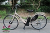 Xe đạp điện trợ lực Nhật Panasonic neosage - anh 1