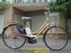 Xe đạp điện Brigestone tay ga màu đồng - anh 1