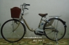Xe đạp điện trợ lực Panasonic màu đồng - anh 1
