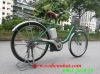 Xe đạp điện Nhật Panasonic tay ga trợ lực - anh 2