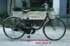Xe đạp trợ lực nữ Panasonic ViVi DX - anh 1