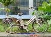 Xe đạp điện trợ lực ASISTA hồng phấn đời 2012 - anh 1