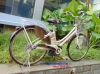 Xe đạp điện trợ lực ASISTA hồng phấn đời 2012 - anh 2