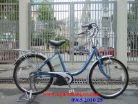 Xe đạp điện Panasonic( Yakult) chở hàng