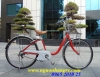 Xe đạp điện Nhật Panasonic - anh 1