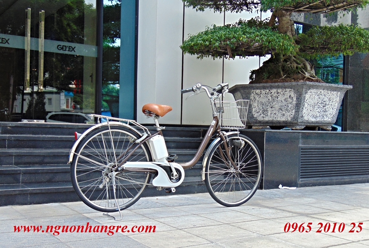Xe đạp điện Nhật  Panasonic pin luipo 35km/sạc