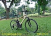 Xe đạp thể thao trợ lực Panasonic Hurryer màu đồng - anh 1