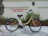 Xe đạp điện Nhật National  màu kem vàng - anh 1