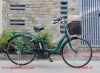 Xe đạp điện Nhật Bản Natura Màu xanh lá cây - anh 1