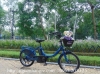 Xe đạp điện Nhật trợ lực Yamaha Baby đời mới - anh 3