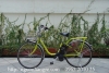 Xe đạp điện Nhật trợ lực panasonic  đời cao econavi  màu xanh - anh 2