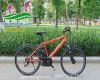 Xe đạp thể thao trợ lực Panasonic màu cam - anh 1