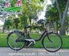 Xe đạp điện trợ lực Nhật Pas Natura - anh 1