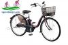 Xe đạp điện trợ lực Nhật Pas Natura - anh 2