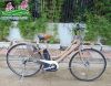 Xe đạp trợ lực Nhật Bản Brigestone Veltro - anh 1
