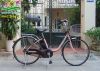 Xe đạp điện Nhật: trợ lực Panasonic  màn hình eco navi - anh 1