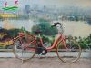 Xe đạp điện Nhật trợ lực Brigestone Assista 2016 màu hồng cam - anh 1