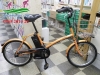 Xe đạp điện Nhật Panasonic bánh 20 inch màu cam - anh 1