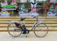 Xe đạp điện Nhật bãi Assista