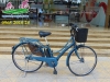 Xe đạp điện Nhật bãi Assista polku - anh 1