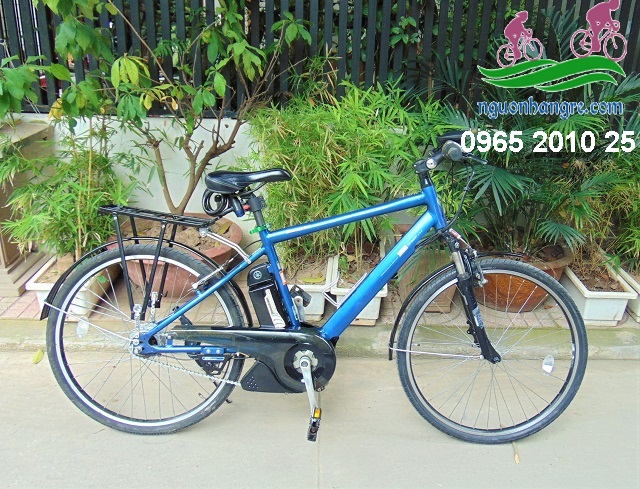 Xe đạp thể thao trợ lực Nhật  Brigestone Real stream xanh