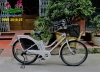 Xe đạp điện Nhật Bản HydeeB trắng - anh 1