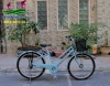 Xe đạp điện Nhật trợ lực Deliche màu xanh - anh 1