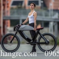 Xe đạp điện cổ điển Bibicleta