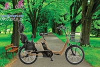 Tiểu sử cửa hàng xe đạp điện Nhật bãi nguồn hàng rẻ