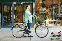 Review nhanh xe đạp điện Nhật Natura