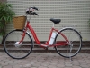Xe đạp điện Nhật bãi Sayo( đã chuyển sang tay ga) - anh 1