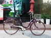 Xe đạp điện Bridgestone Nhật xịn - anh 1