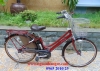 Xe đạp điện trợ lực Nhật ASSISTA STILA đỏ đun - anh 2