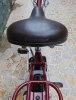 Xe đạp điện trợ lực Nhật ASSISTA STILA đỏ đun - anh 5