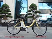 Xe đạp điện Nhật National  vàng chanh tay ga ắc quy khô