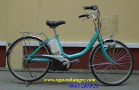 Xe đạp điện Nhật giá rẻ