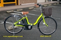 Xe đạp điện cũ mẫu xe trợ lực Natura đời  cao