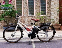 Xe đạp điện Nhật Vienta 5 màu trắng
