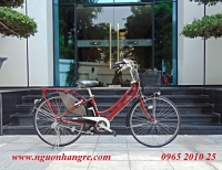 Xe đạp điện Nhật nội địa ASSISTA STILA hãng Yamaha danh tiếng màu đỏ đun