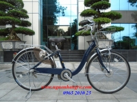 Xe đạp điện trợ lực Sanyo eneloop Bike xanh tím than